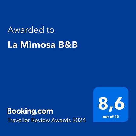 La Mimosa B&B 那不勒斯 外观 照片